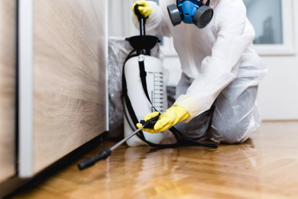 Best Affordable Pest Control Services  in Rushville, IN