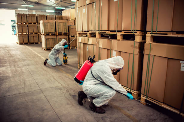 Best Residential Pest Control  in Rushville, IN