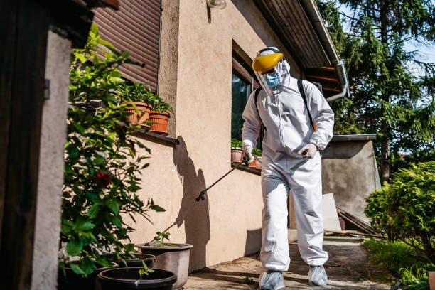 Insect Control in Rushville, IN