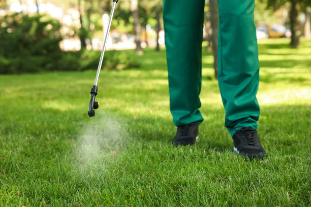 Best Ant Control Services  in Rushville, IN