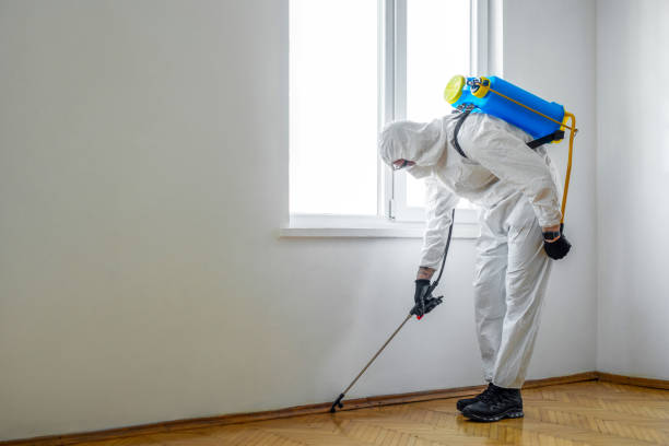 Pest Control for Restaurants in Rushville, IN