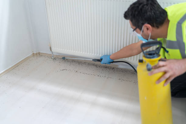 Best Termite Control Services  in Rushville, IN
