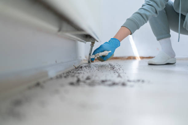 Best Exterminator Services  in Rushville, IN